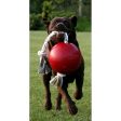 Jolly Ball Romp-n-Roll Baby Blau Online Hot Sale