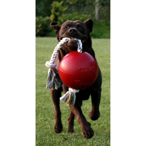 Jolly Ball Romp-n-Roll Baby Blau Online Hot Sale