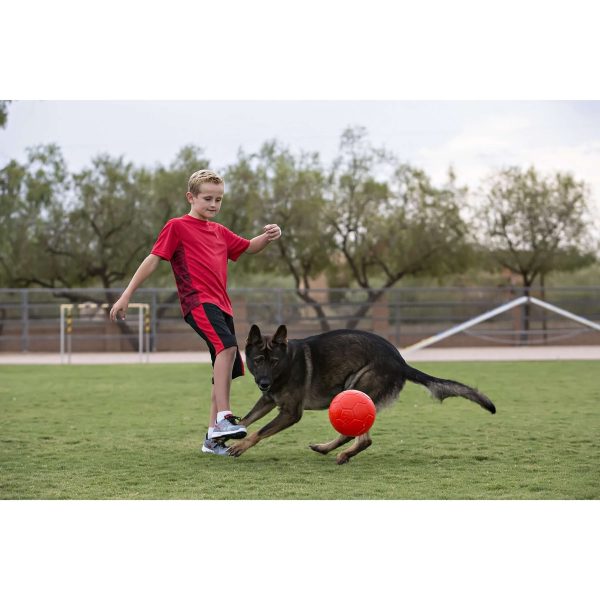 Jolly Ball Soccer Ball Meerblau Online