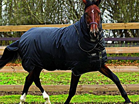 Horseware Trot Plus Heavy 350g Schwartz Tan on Sale