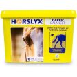 Horslyx Leckstein Garlic Cheap