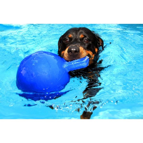 Jolly Ball Tug-n-Toss Blau Online Hot Sale