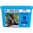 Horslyx Leckstein Mint Hot on Sale