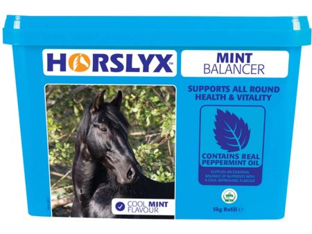 Horslyx Leckstein Mint Hot on Sale