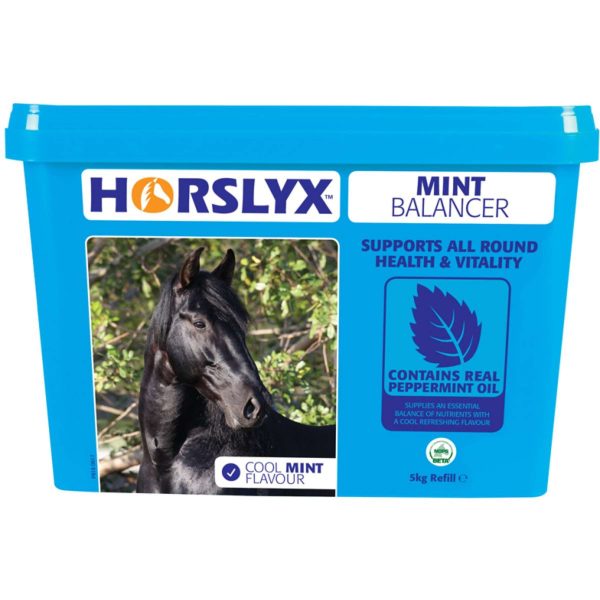 Horslyx Leckstein Mint Hot on Sale