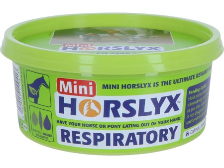 Horslyx Leckstein Respiratory Fashion