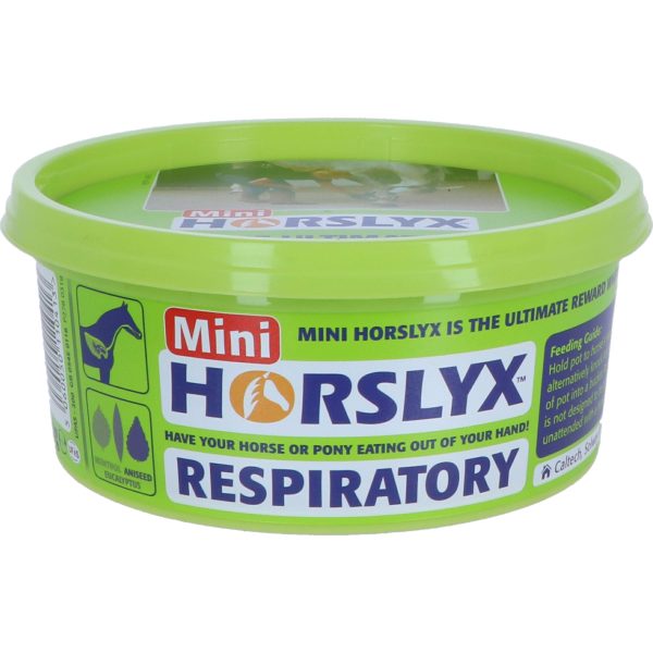 Horslyx Leckstein Respiratory Fashion