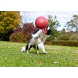 Jolly Ball Tug-n-Toss Blau Online Hot Sale