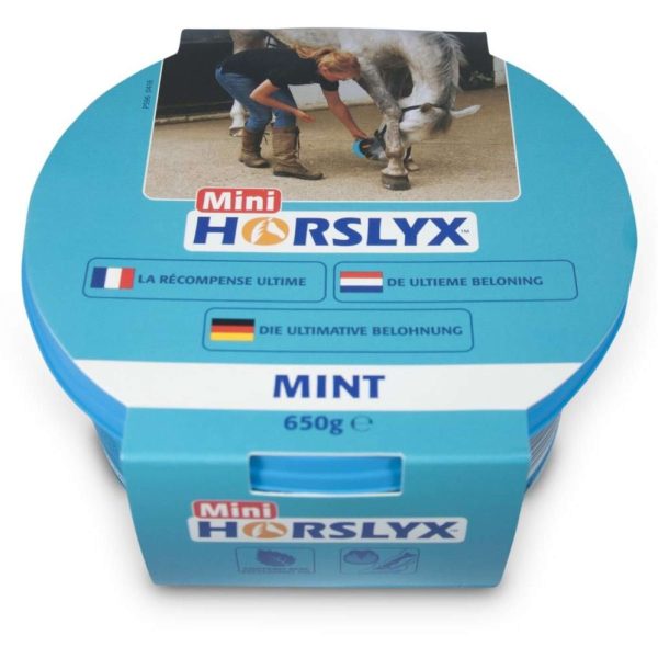 Horslyx Leckstein Mint Hot on Sale