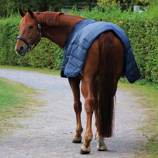 Horseware Liner 200g Navy on Sale