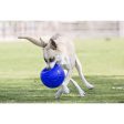 Jolly Ball Soccer Ball Meerblau Online