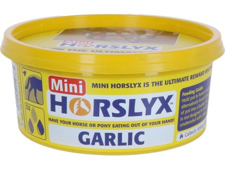 Horslyx Leckstein Garlic Cheap