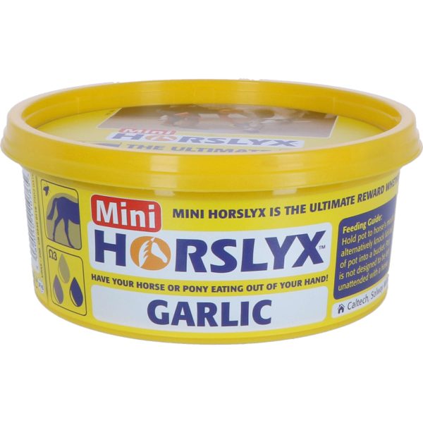 Horslyx Leckstein Garlic Cheap