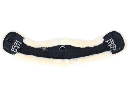 BR Dressurgurt Eclipse Sheepskin Schwarz Online Hot Sale