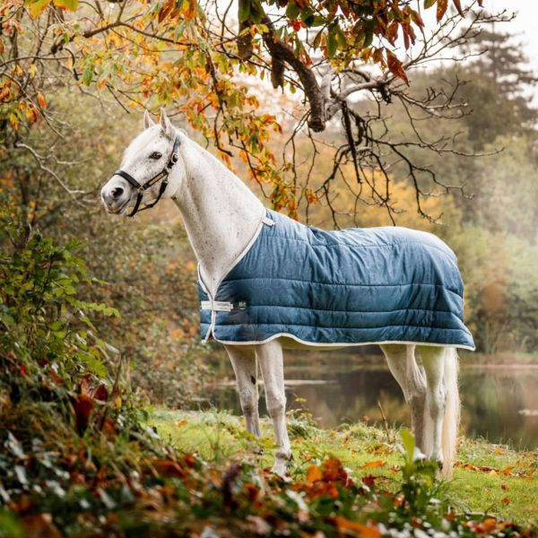 Horseware Eco Liner 300g Teal Eco Print Sale