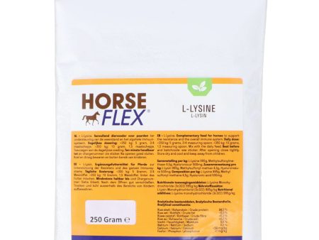 HorseFlex L-Lysine Nachfüllung Cheap