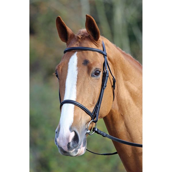 Aviemore by Shires Trense Unterlegter Kappzaum Schwarz on Sale