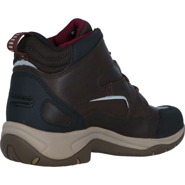 Ariat Stallschuhe Telluride H2O Dunkelbraun Sale