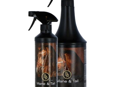 BR Mane Tail Lotion Spray Fashion